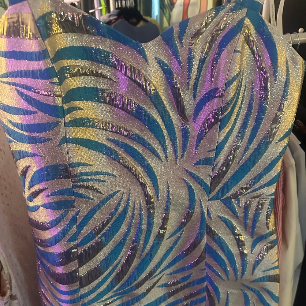 My 1st LIVE SHOW - Women’s Unlisted DRESSES Sat 1/17 7PM - Picture 6 of 16